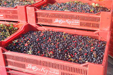 image (2).png