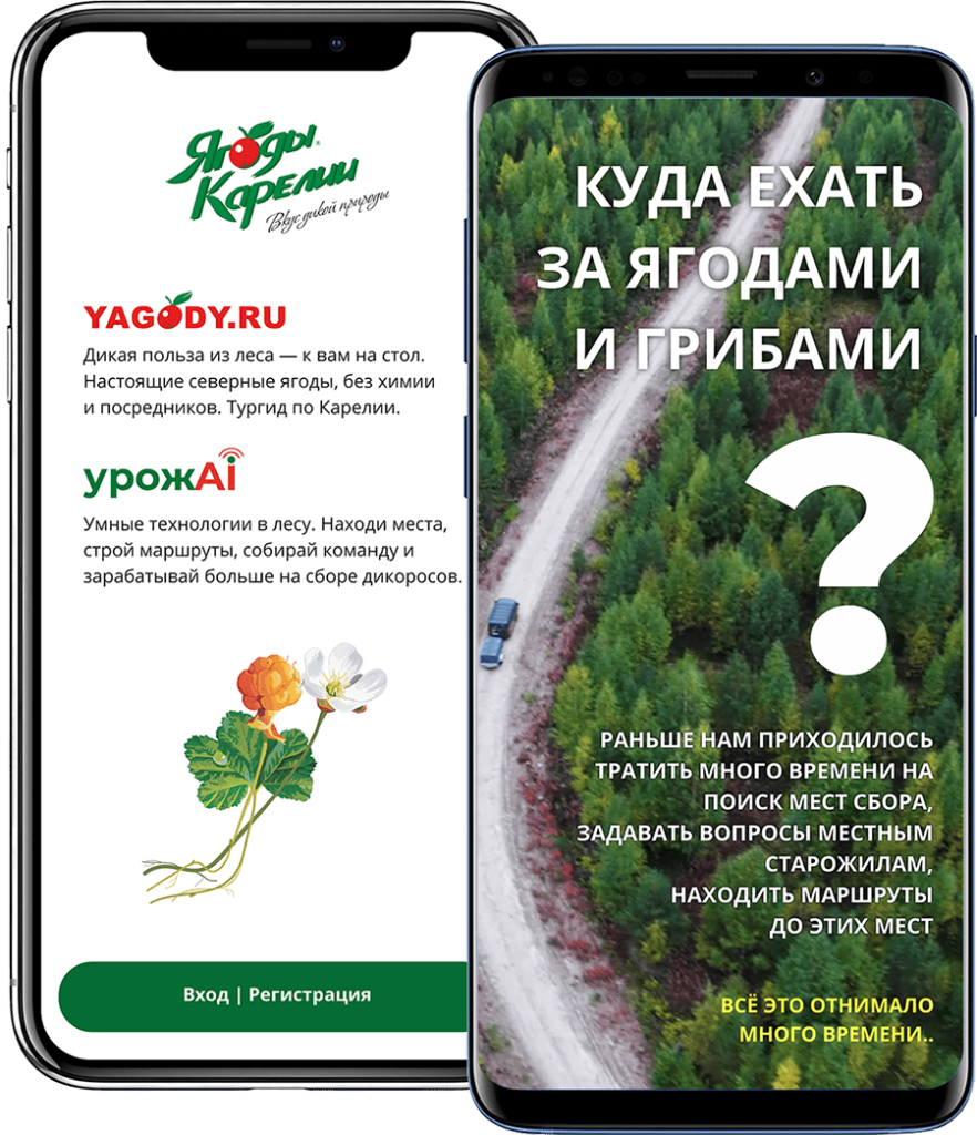 skachay_mobilnoe_prilozhenie_yagody_karelii_1x.png
