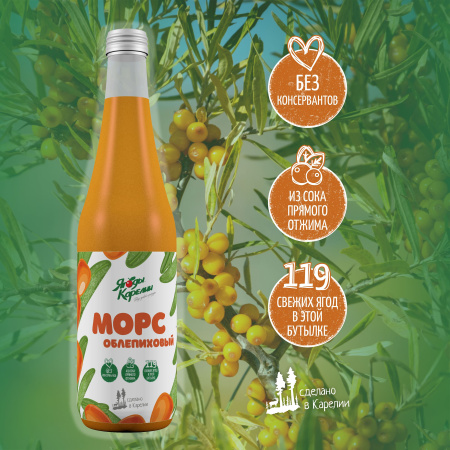 Морс Облепиха, 510мл