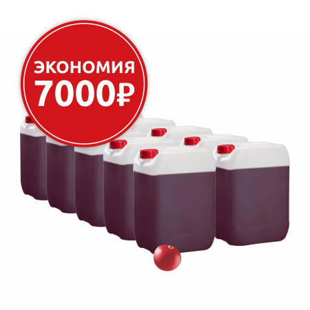 Основа для морсов и сорбетов Клюква, 10 канистр по 6,2 кг