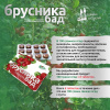 Ягодные функциональные таблетки Брусника БАД от магазина Ягоды Карелии