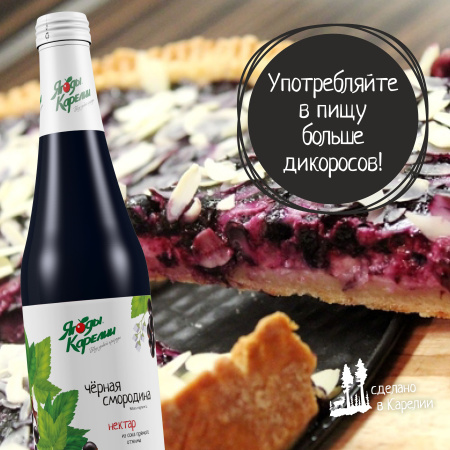 Нектар Смородина чёрная БЕЗ САХАРА, 510мл от магазина "Ягоды Карелии"