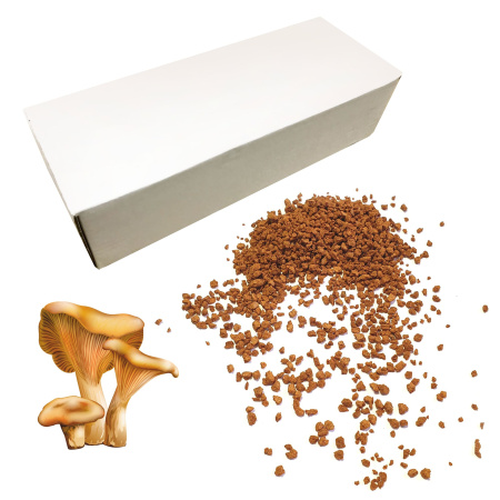 Грибы лисички сублимированные, гранулы, коробка 1кг