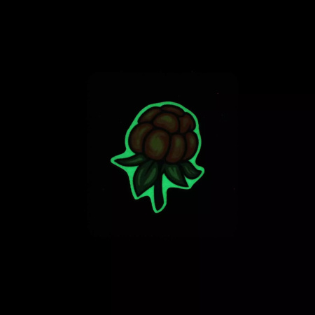 Значок "Морошка", разноцветный