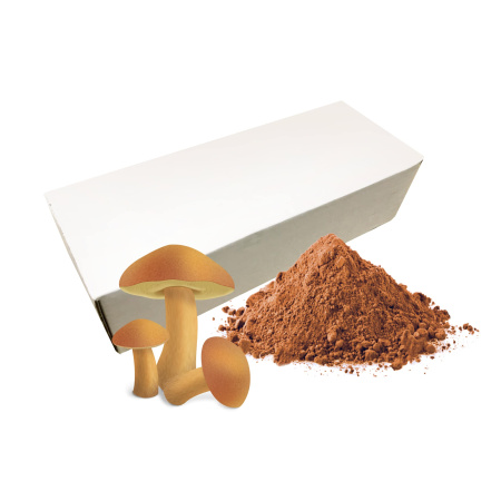 Гриб моховик сублимированный, порошок, коробка 1кг