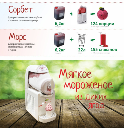 Основа для морсов и сорбетов Черника, 10 канистр по 6,2 кг