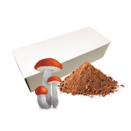 Гриб подосиновик сублимированный, порошок, коробка 1кг