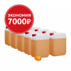 Основа для морсов и сорбетов Облепиха, 10 канистр по 6,2 кг