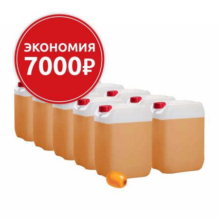 Основа для морсов и сорбетов Облепиха, 10 канистр по 6,2 кг