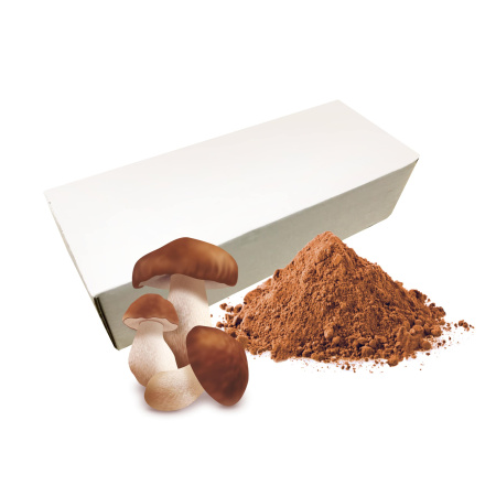 Гриб белый сублимированный, порошок, коробка 1кг