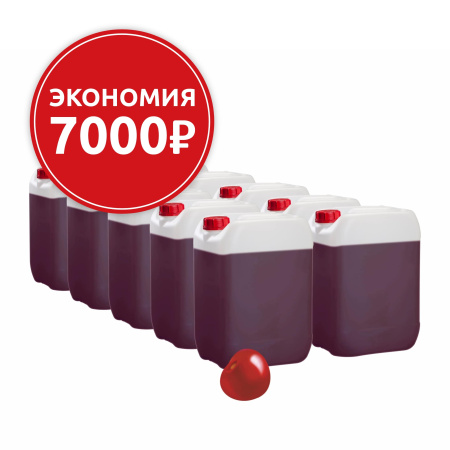 Основа для морсов и сорбетов Вишня, 10 канистр по 6,2 кг