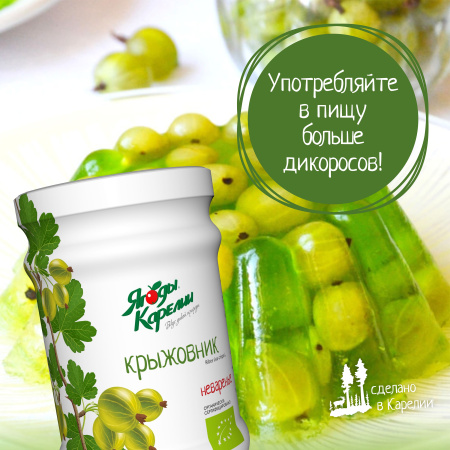 Неваренье Крыжовник БЕЗ САХАРА, 270г от магазина "Ягоды Карелии"